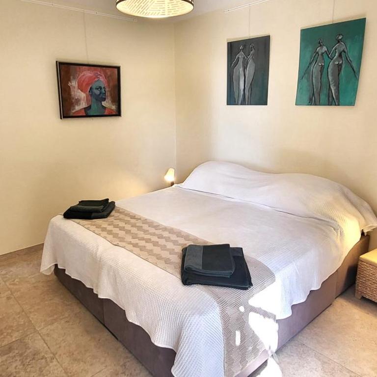 "La Colombe sous les Oliviers" Gîte jusqu'à 4 personnes - 75m2 - Sur Boooking - Rez de jardin Piscine Vue mer et lac - Casa Vacanze - 33