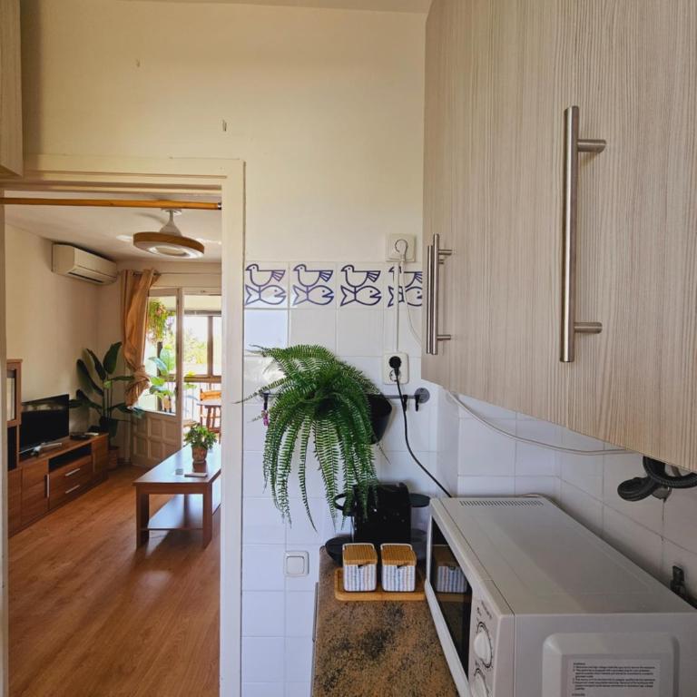 Apartamento Tropicana Beach - One-Bedroom Apartment - 13