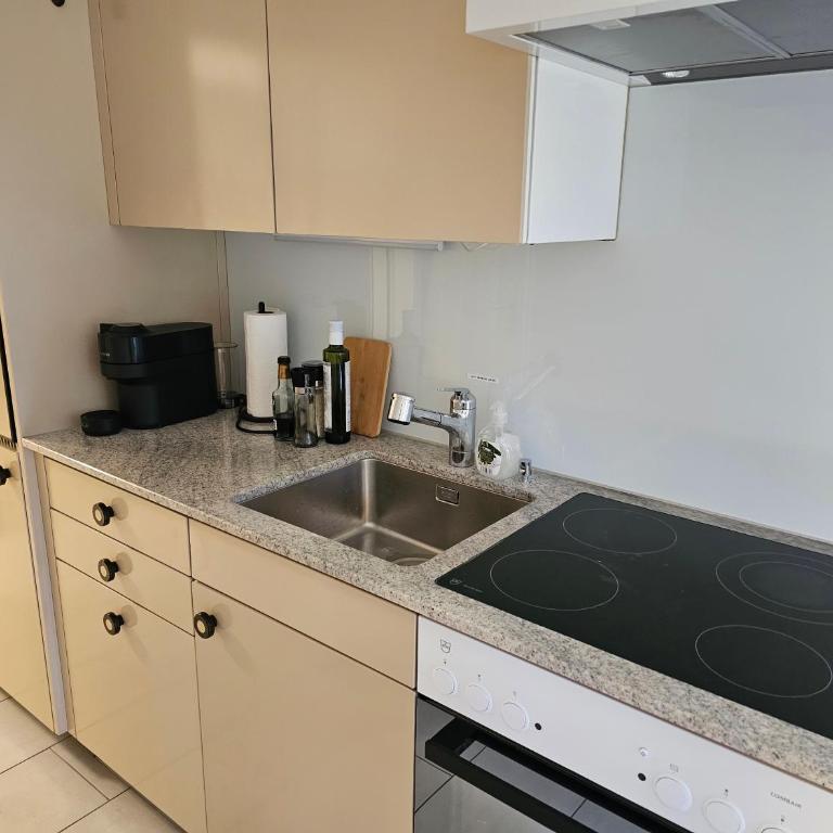 Premium Apartments - Pilatus View - AC - Apartment mit 1 Schlafzimmer - 7