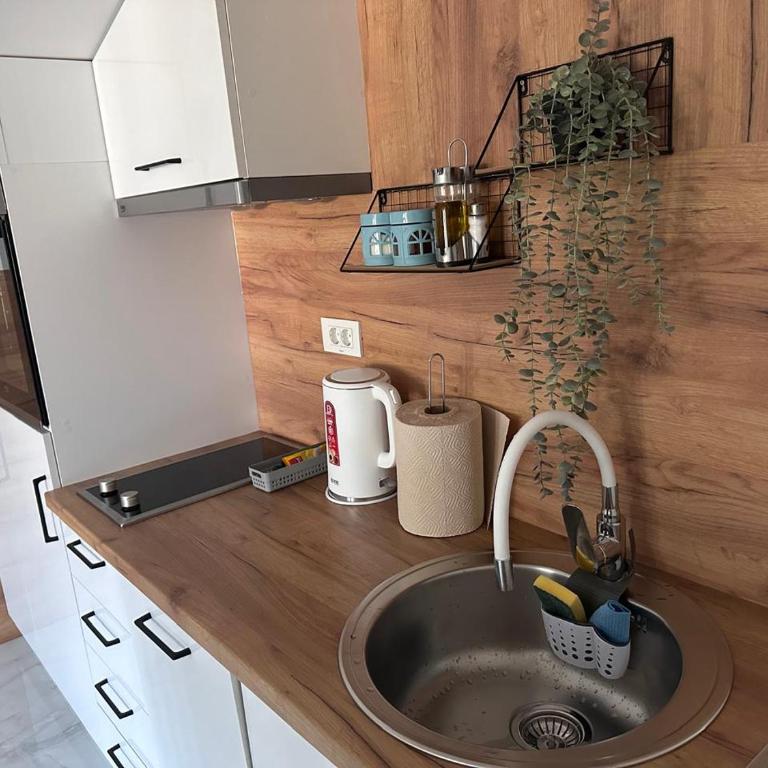 Apartman Sofija Kotor-Ljesevici - One-Bedroom Apartment - 14