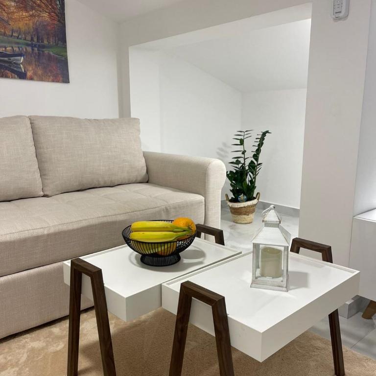Apartman Sofija Kotor-Ljesevici - One-Bedroom Apartment - 6