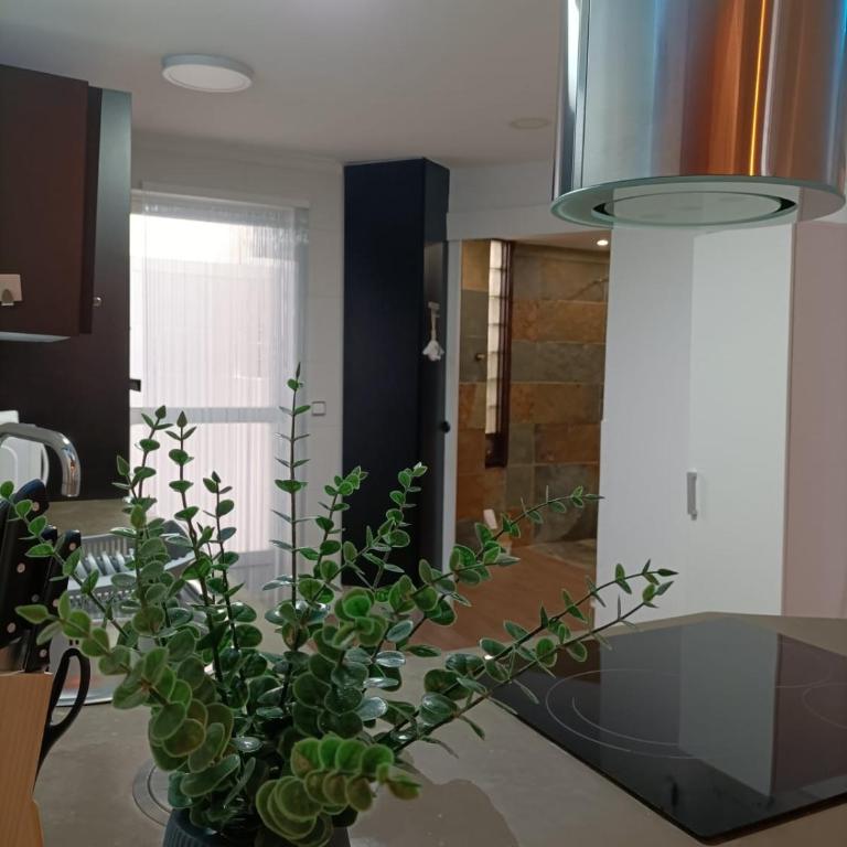 Apartamento céntrico, 2ª línea de playa - Apartamento de 2 dormitorios - 7