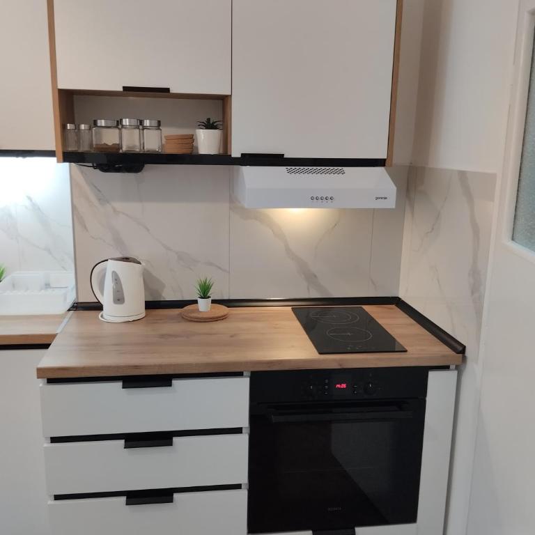 DiV Apartman Jagodina - Apartman sa 1 Spavaćom Sobom - 6