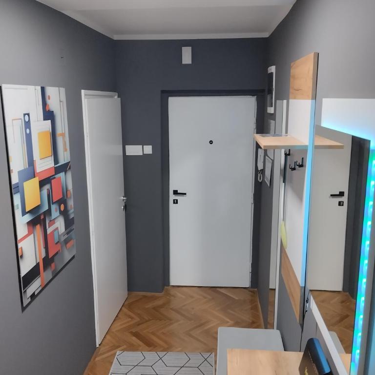 DiV Apartman Jagodina - Apartman sa 1 Spavaćom Sobom - 3