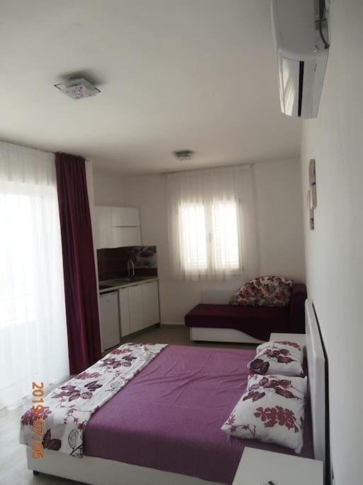 Sea Violet - One-Bedroom Apartment - 3