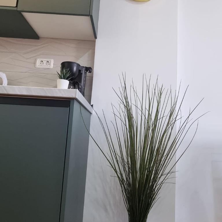 Casa Liotro 2, comfortable, panoramic,central, near the sea,swimming pool,wifi,terrace - Apartamento de 2 dormitorios con terraza y vistas al mar - 42