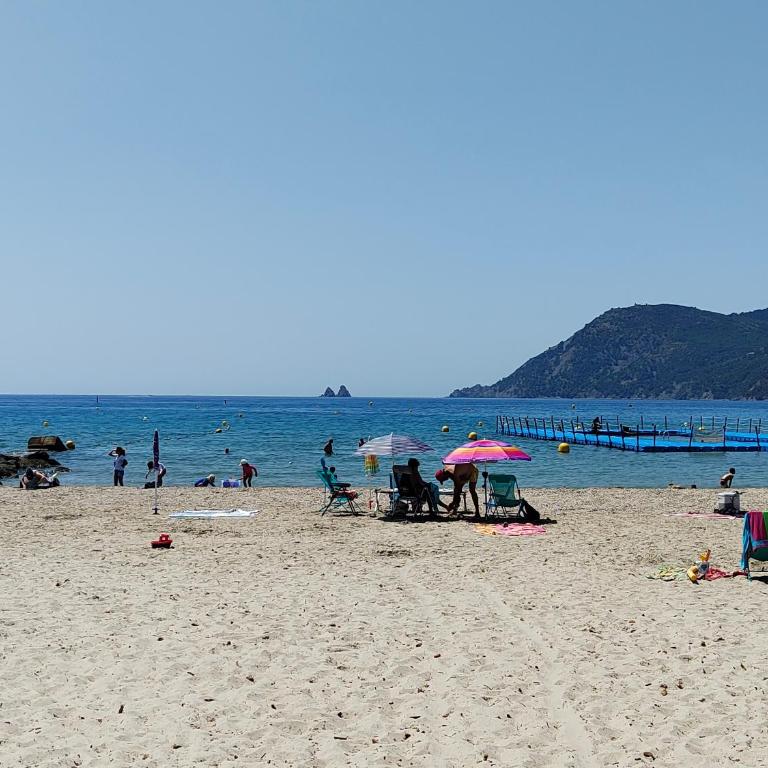 bord de mer "L'ONADA" Sablettes Saint Elme Saint Mandrier - Appartement 1 Chambre - 16