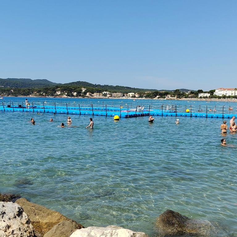 bord de mer "L'ONADA" Sablettes Saint Elme Saint Mandrier - Appartement 1 Chambre - 14