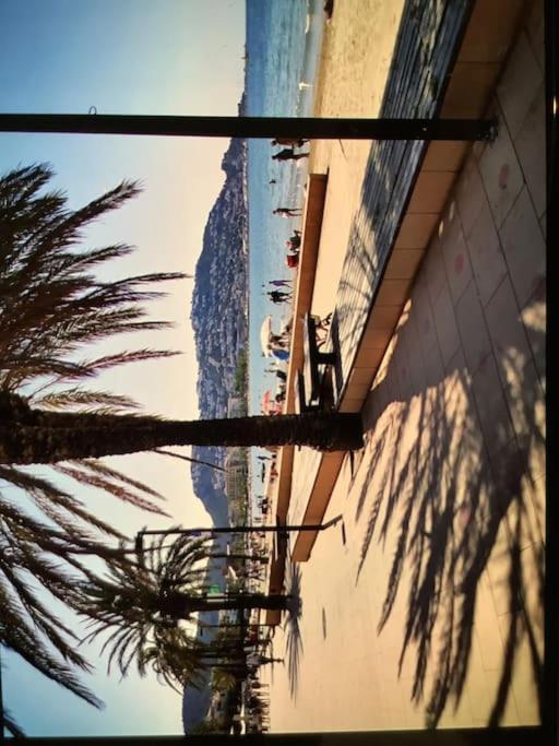 Spacieux Appartement Rose front mer et piscine - Apartamento de 1 dormitorio - 39