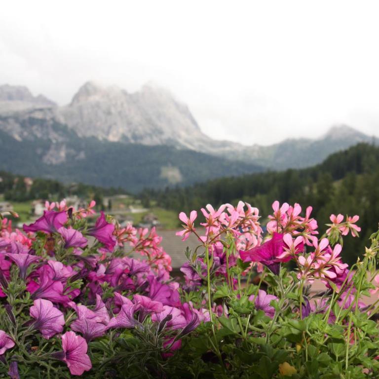 Residence Vajolet San Cassiano - Superior Apartment - 7
