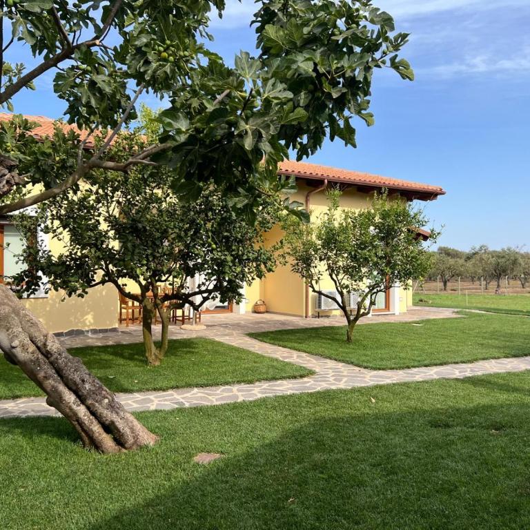Agriturismo Il Podere Alghero - Appartamento con 1 Camera da Letto e con Giardino - 5