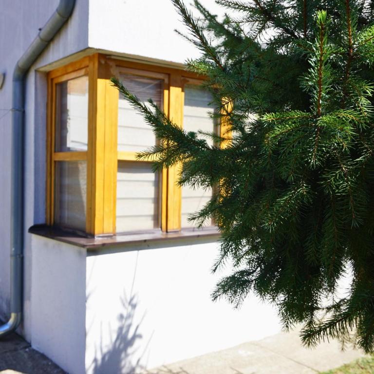 Airport Studio - Lucia - Apartman sa 1 Spavaćom Sobom - 25