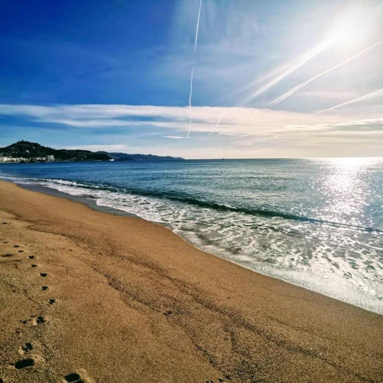 Seafront apartment in Blanes S'Abanell Central Park - Apartamento de 2 dormitorios - 23