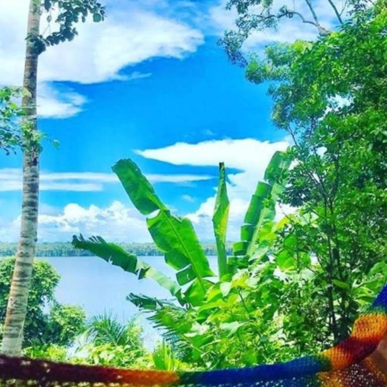 Ecolucerna Lodge Tambopata - Twin Room with Garden View - 2