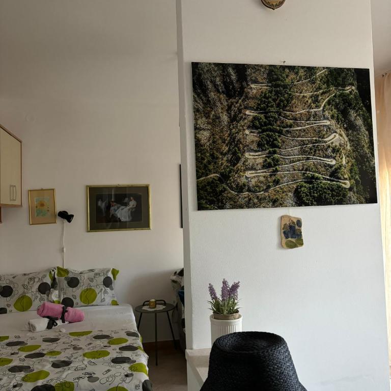 Orange studio - One-Bedroom Apartment - 2
