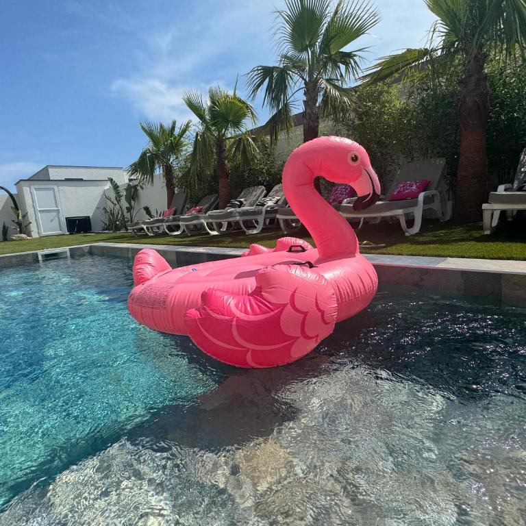 Villa Vanille Cap d Agde Luxe piscine chauffée 5 étoiles - Villa - 41