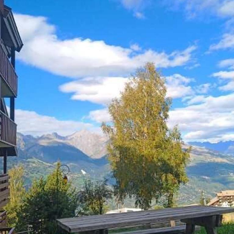 Appartement rénové en pleine montagne avec accès direct aux pistes - FR-1-181-2829 - Appartement - 16