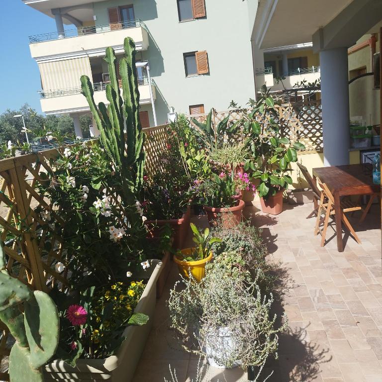 Alghero Lovely Flat - Appartamento con Vista Giardino - 1