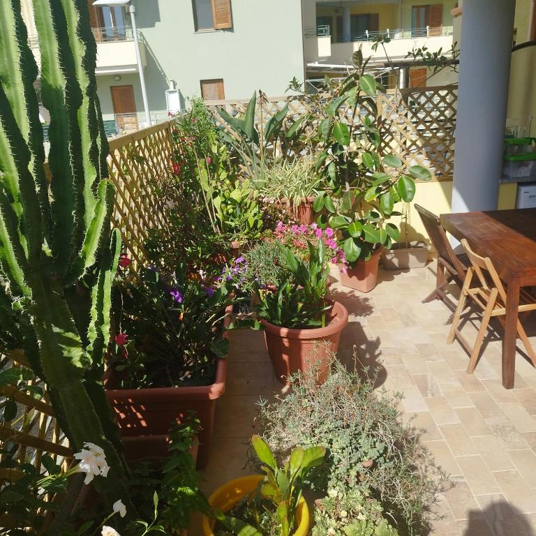 Alghero Lovely Flat - Appartamento con Vista Giardino - 27