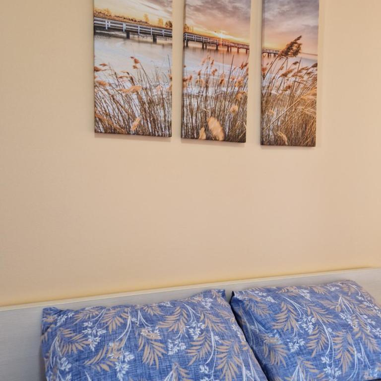 Modern comfort free parking - Apartman sa 1 Spavaćom Sobom - 8