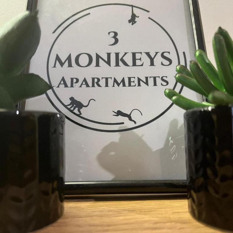 3 Monkeys Apartments - S3 - One-Bedroom Apartment - 14