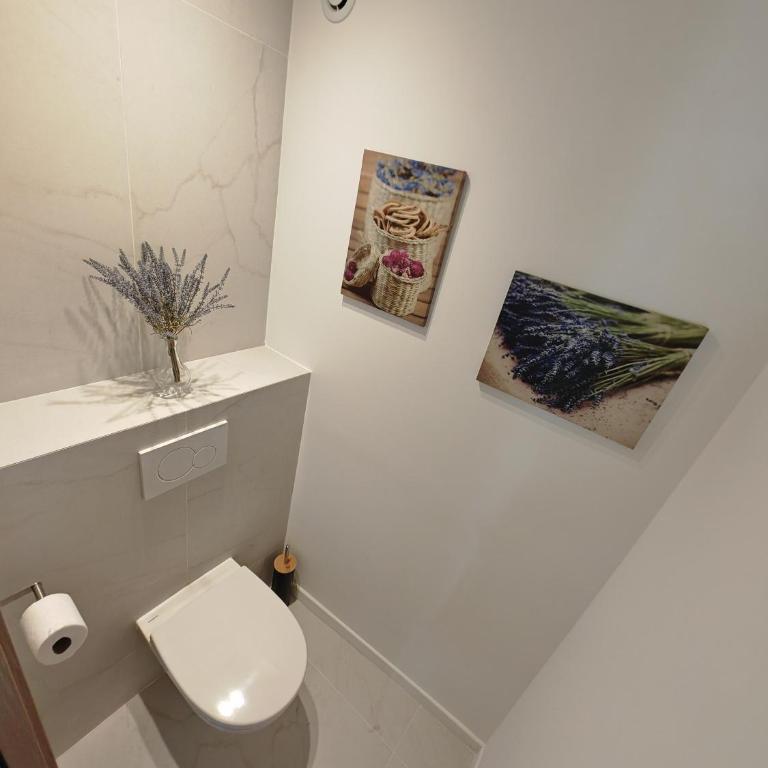 Petite villa climatisée Jardin - Villa 2 Chambres - 5