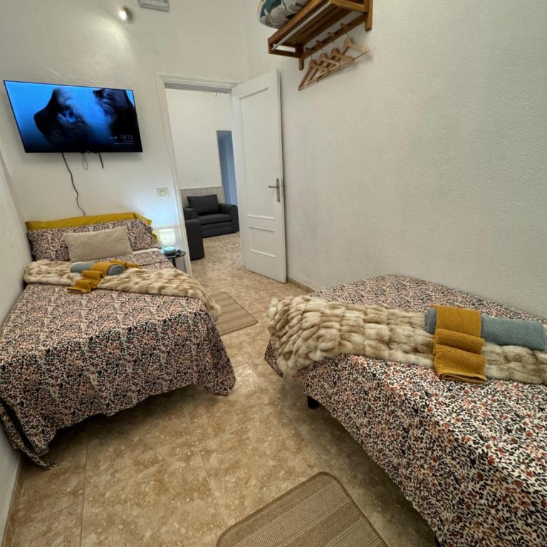 Dream Laguna 3 - Apartamento de 3 dormitorios - 15