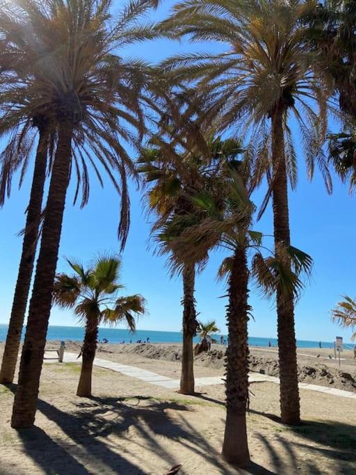 Departamento Malaga - Apartamento de 2 dormitorios - 25