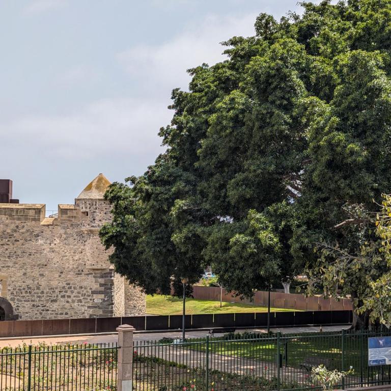 Castle Views By CanariasGetaway - Casa - 30