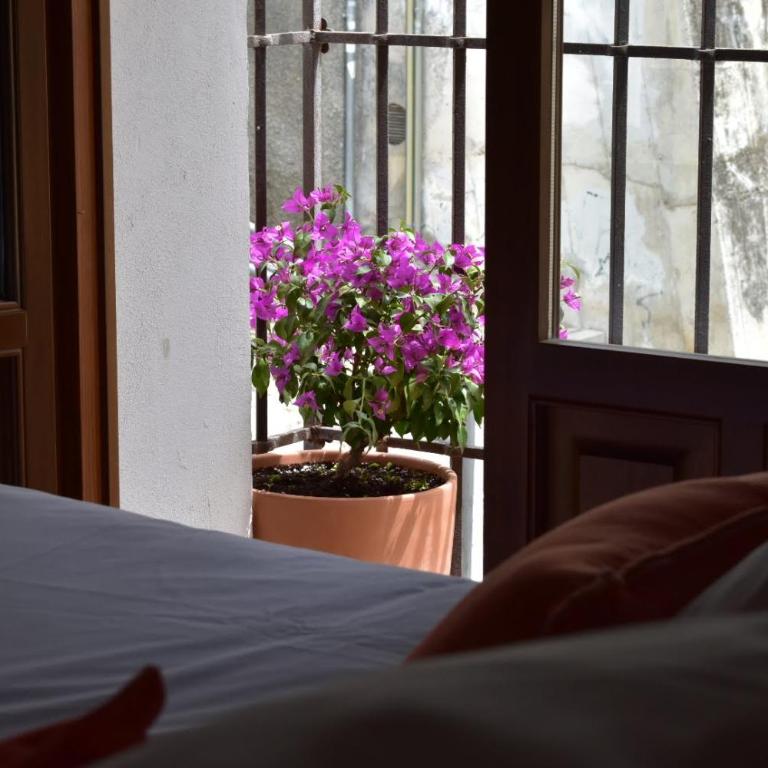 Apartamentos Alhambra - Deluxe Studio - 8