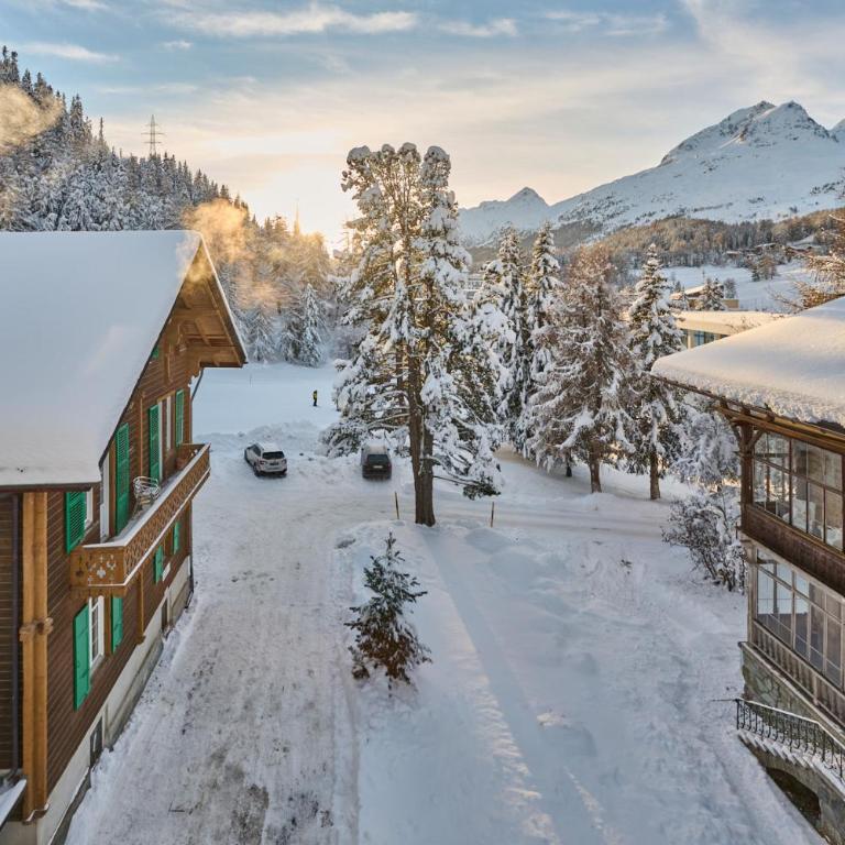 Chesa Madrisa - Loft - 11