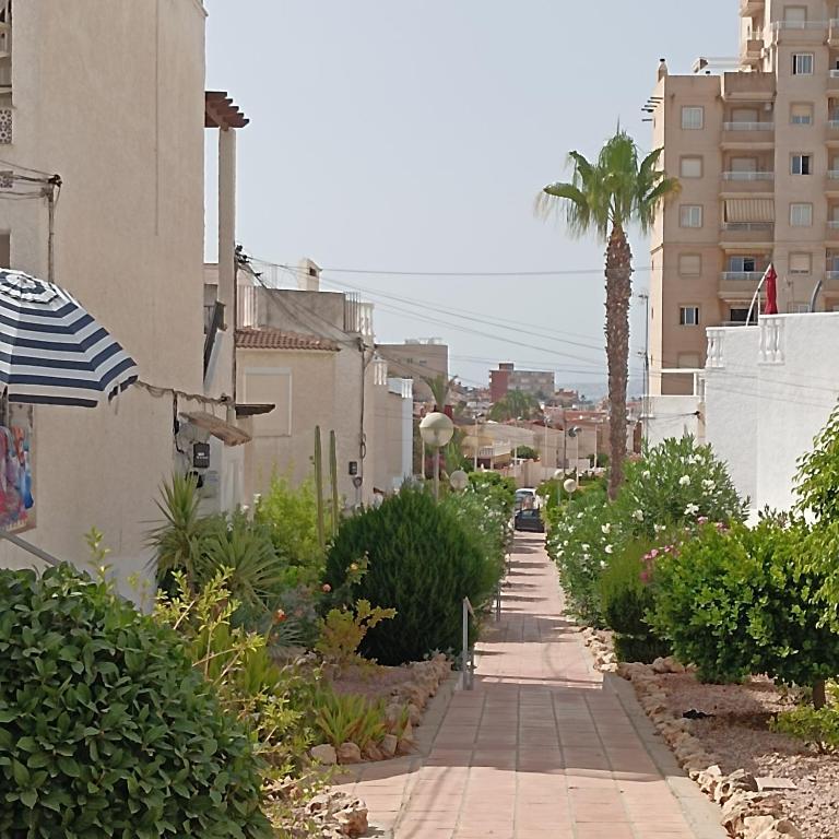 LA MATA PLAYA APARTAMENTO , Torrevieja - Apartamento de 2 dormitorios con balcón - 15