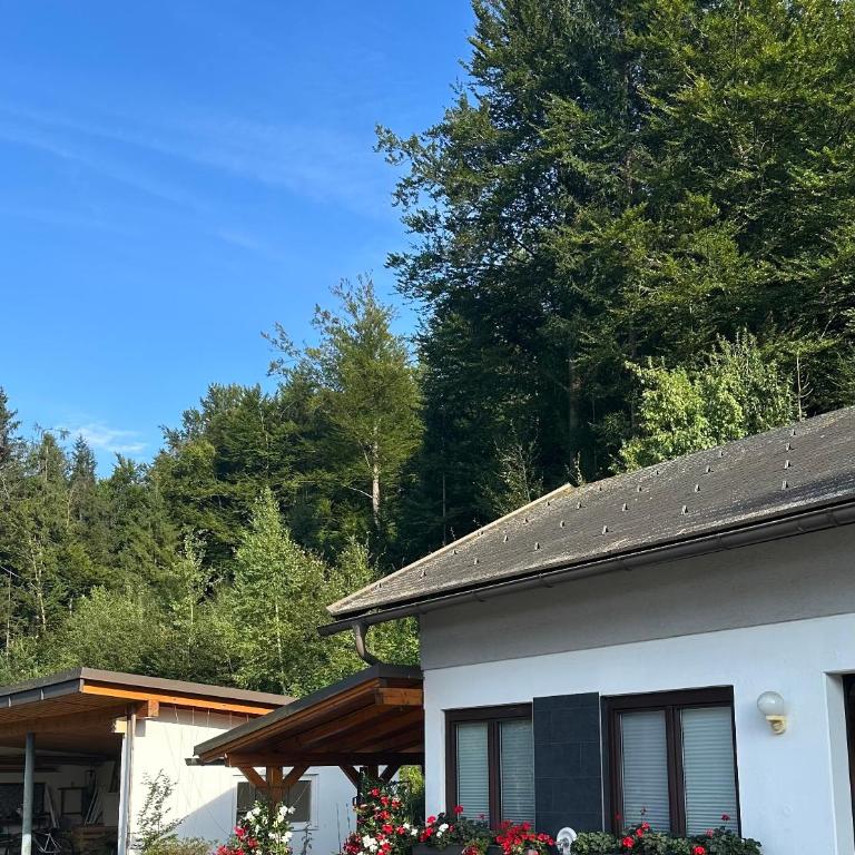 Ferienwohnung Waldblick, Faaker See - Apartment mit 1 Schlafzimmer und Balkon - 2