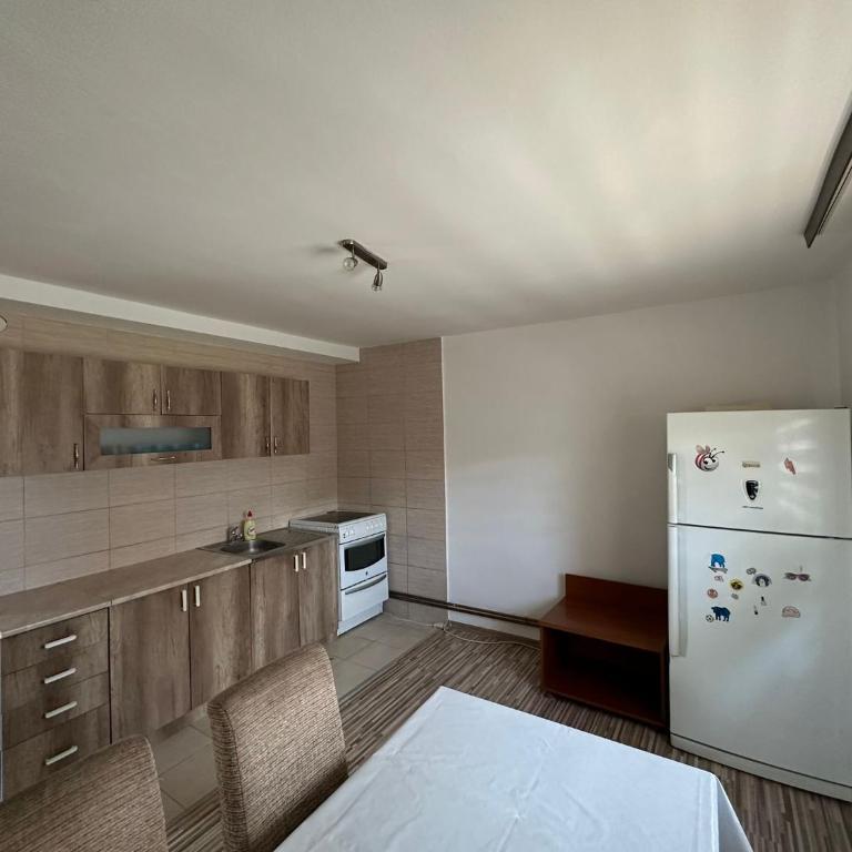 BIRDS apartmani - Apartman sa 1 Spavaćom Sobom - 9