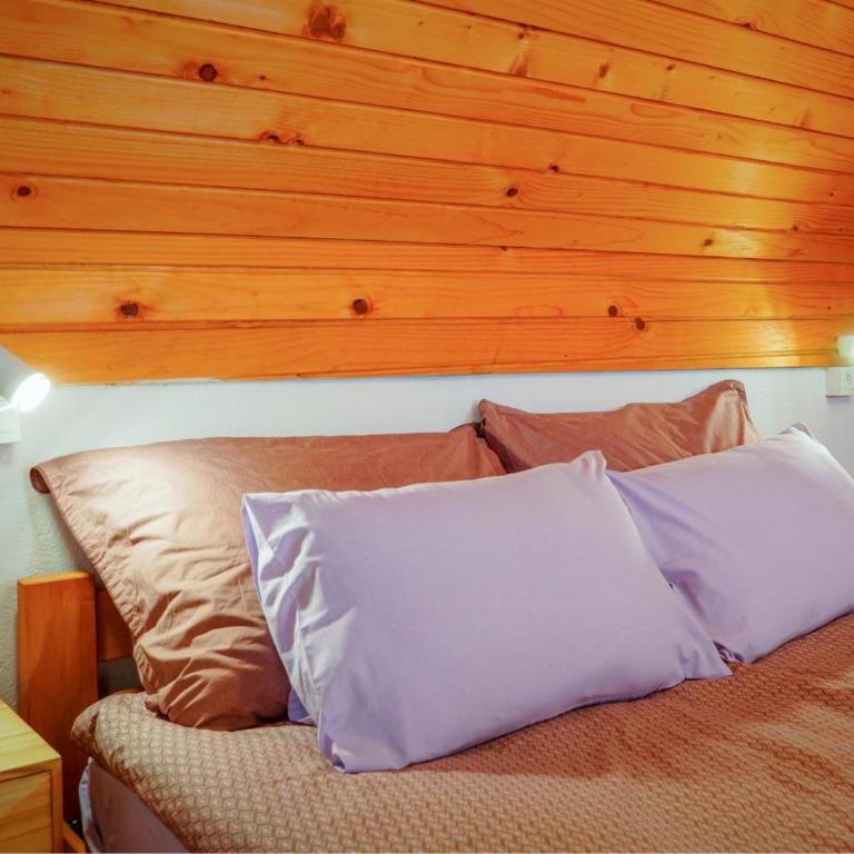 Pineview House - Vikendica - 10