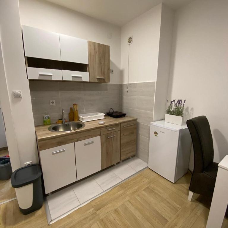 Apartmani,,Drljaca,,2 - Apartman sa 1 Spavaćom Sobom - 3