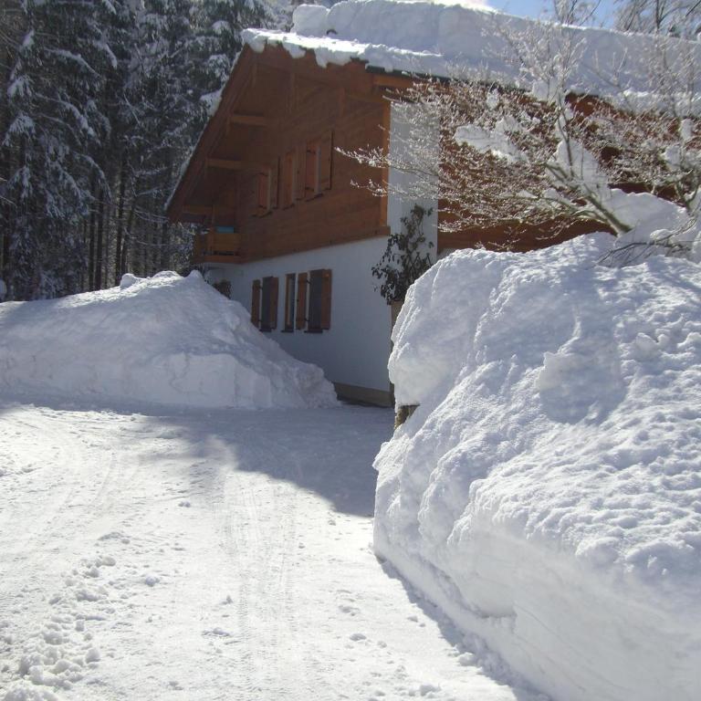 Ferienwohnung am Römerweg Wald - Apartment mit 2 Schlafzimmern - 51