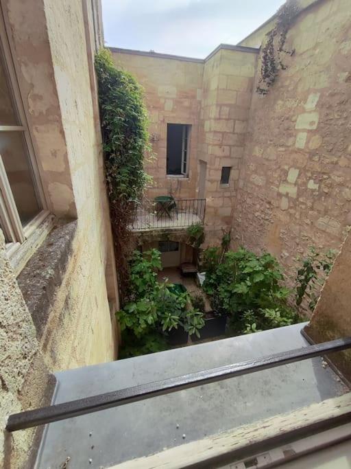 Appartement 1er étage sur cour aux Chartrons - Appartamento con 1 Camera da Letto - 17