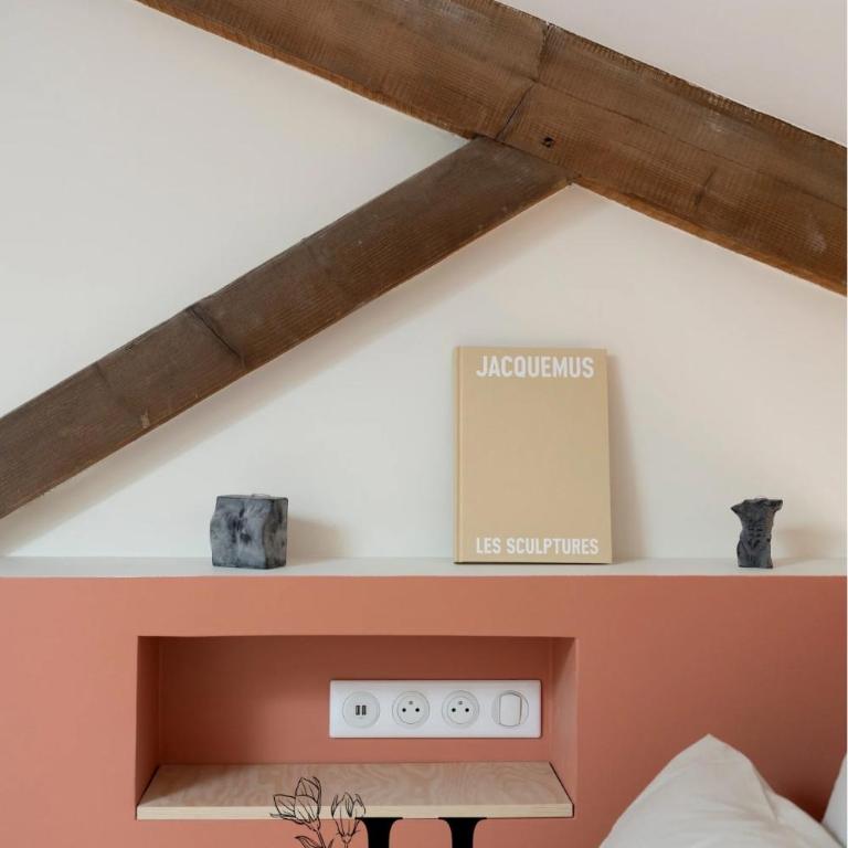 Magnifique Appartement Hypercentre Place Stanislas Nancy - Appartement 1 Chambre - 16