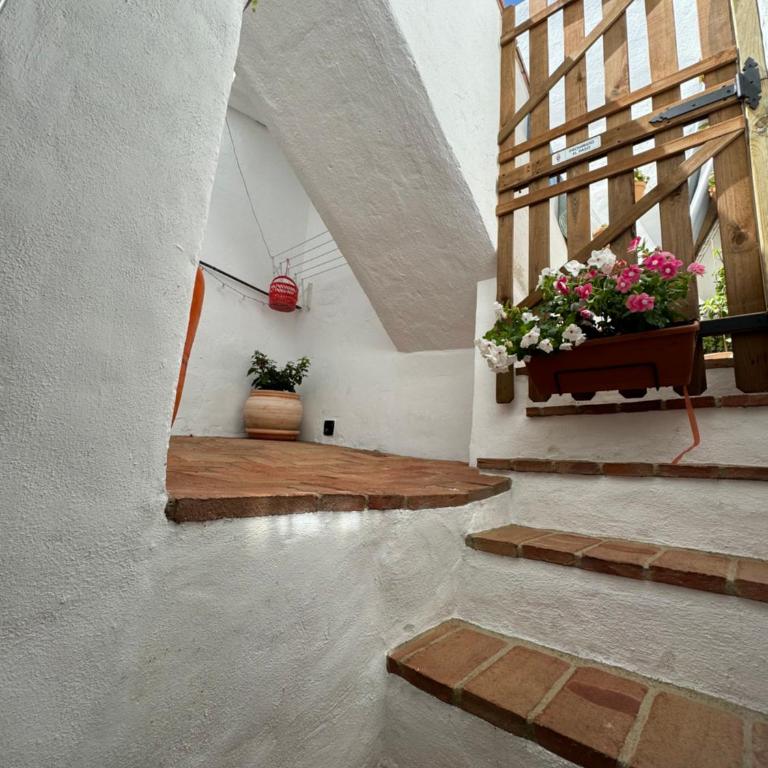 La Casa de Abajo - Casa con 1 dormitorio - 22