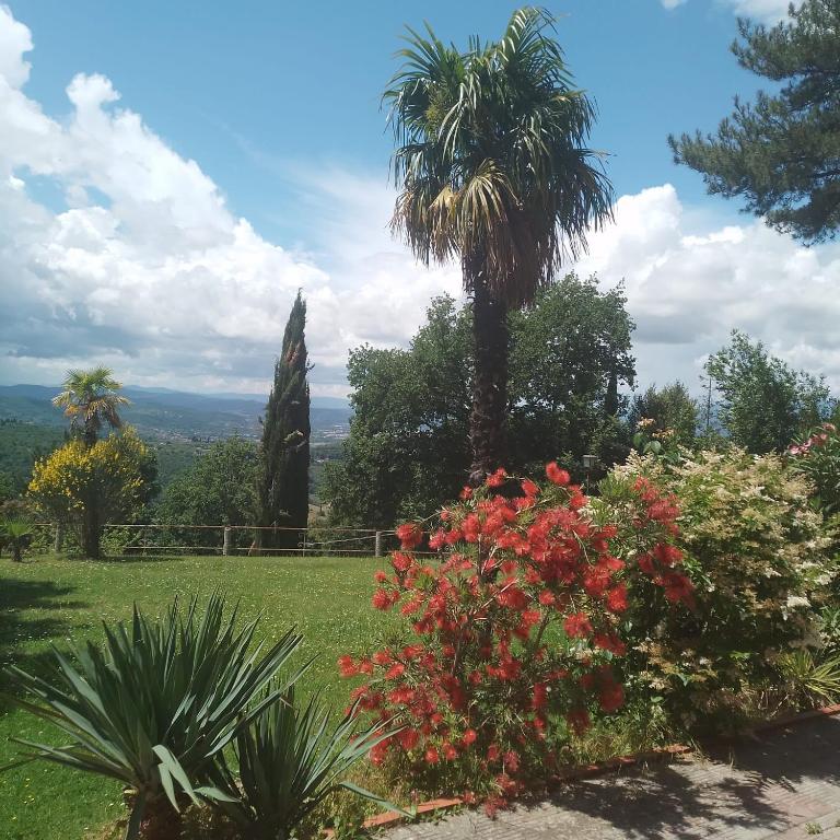 Villa el Pavo Real Arezzo - Appartamento Deluxe con 3 Camere da Letto - 7