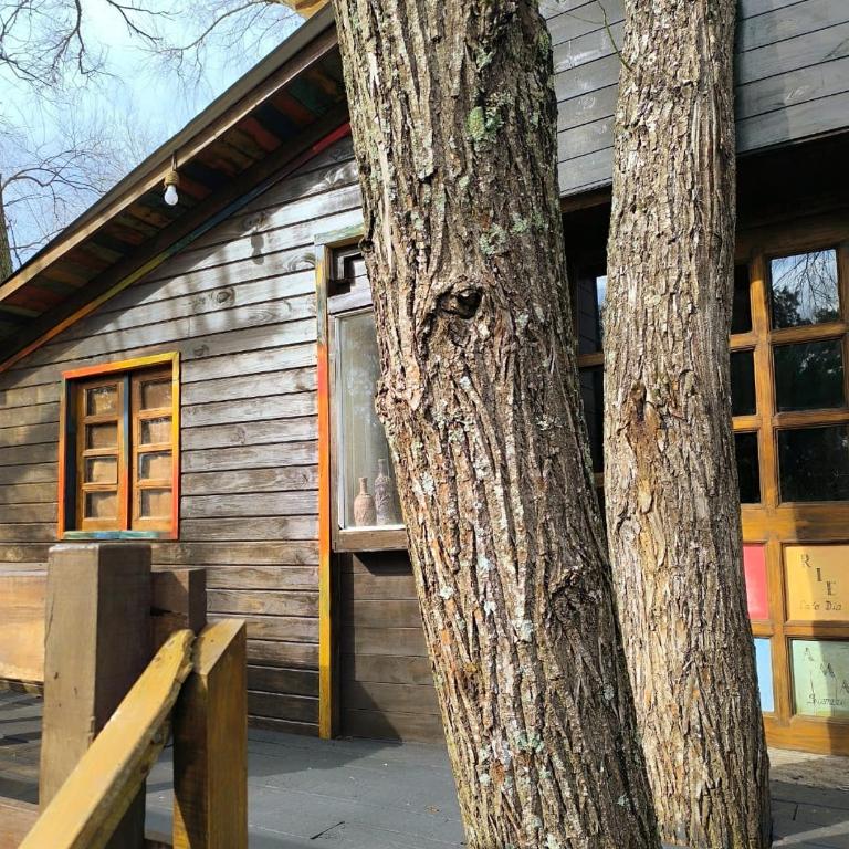 COEMBOTA Cabañas - Habitación Doble Superior - 29