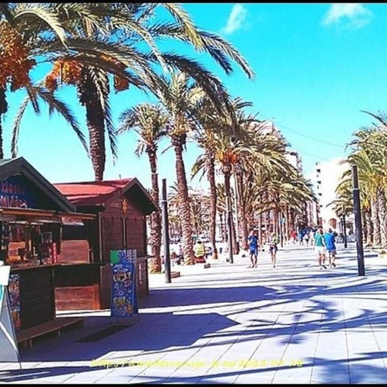 2 Aqua Beach Appartement - Three-Bedroom Apartment - 13