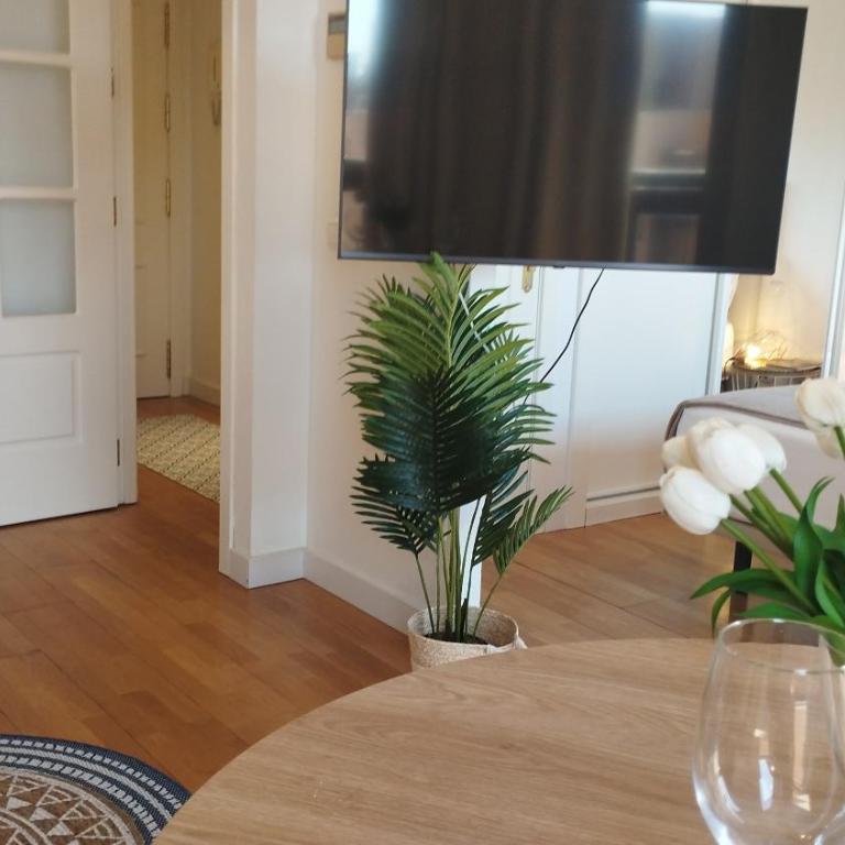 My Suites Madrid - Aeropuerto Ifema - Apartamento - 9