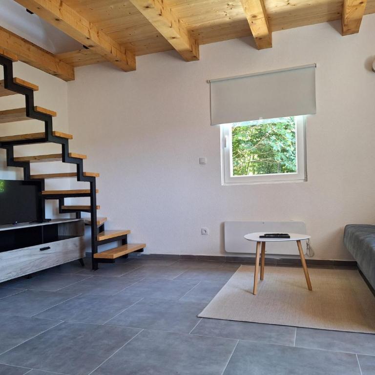 Braun Apartments - Apartman sa 1 Spavaćom Sobom - 15