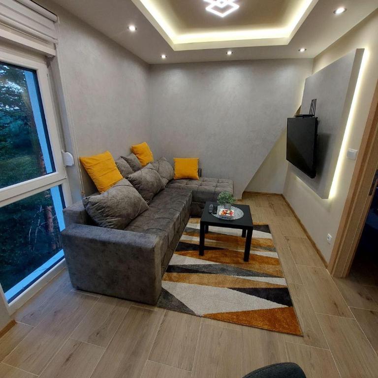 Apartman Davidovic MD 1 Divcibare - One-Bedroom Apartment - 1