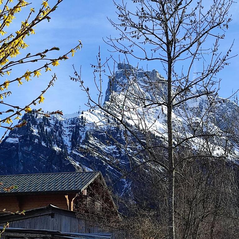 Le Refuge des Trolls - Appartement 1 Chambre - 18