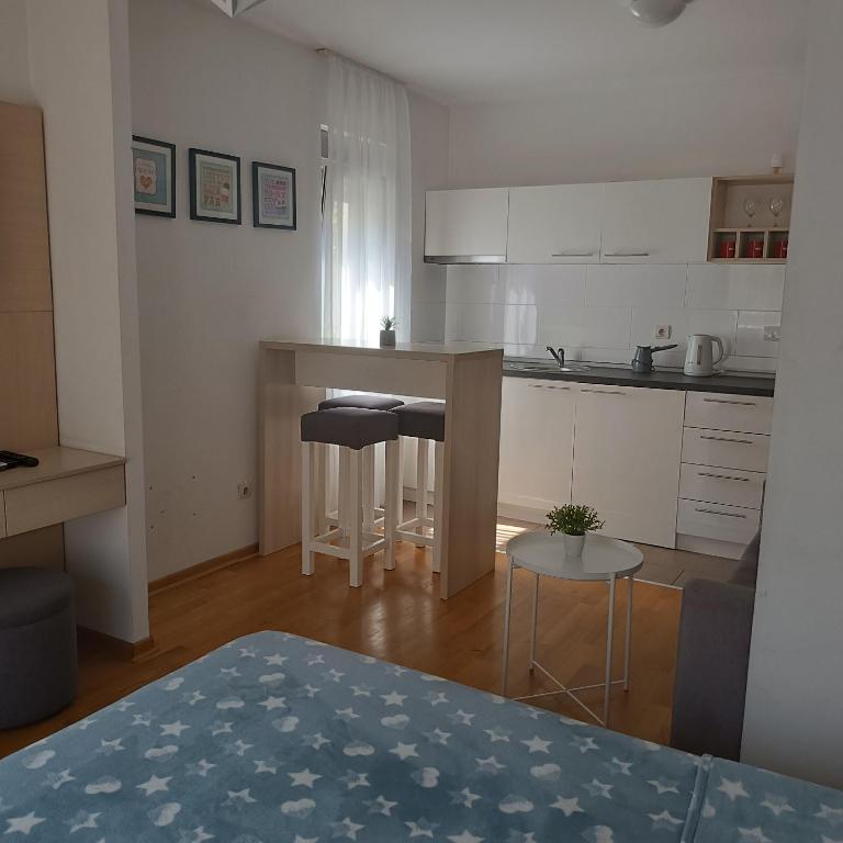 Apartments Karamarković - Standardni Studio - 9
