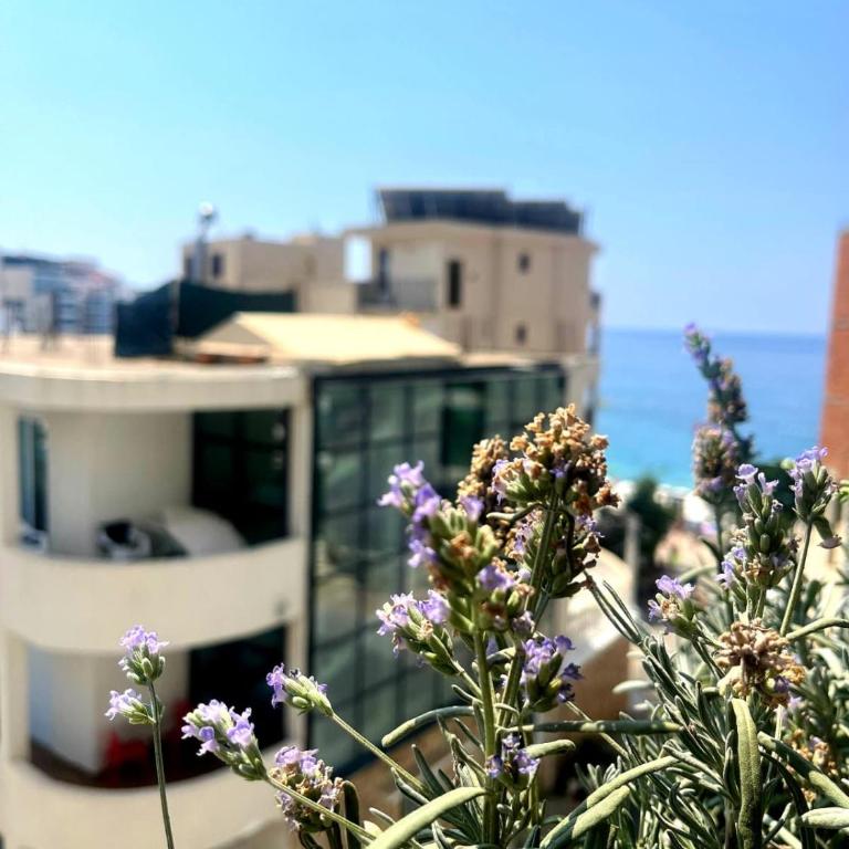 Lavender Apartment - Close to the Beach - Private Garage Parking - One-Bedroom Apartment - 20