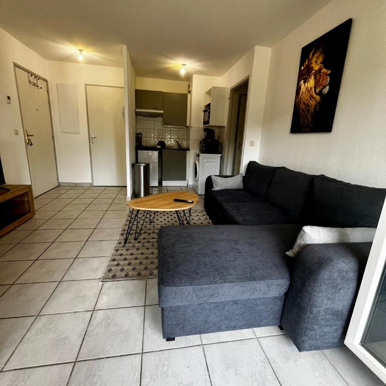 Orée du Saleve Proche Genève Balcon et Parking - Appartement 1 Chambre - 5